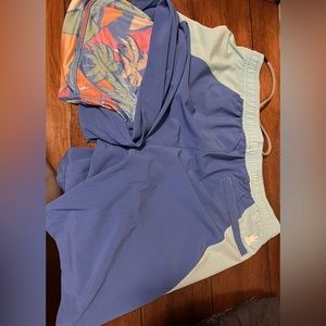 Chubbies training short